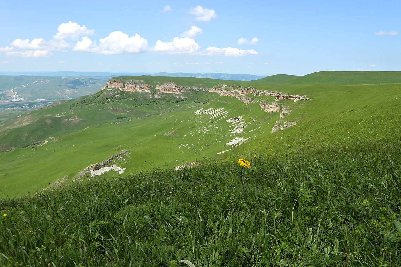 Джангур, image of landscape/habitat.