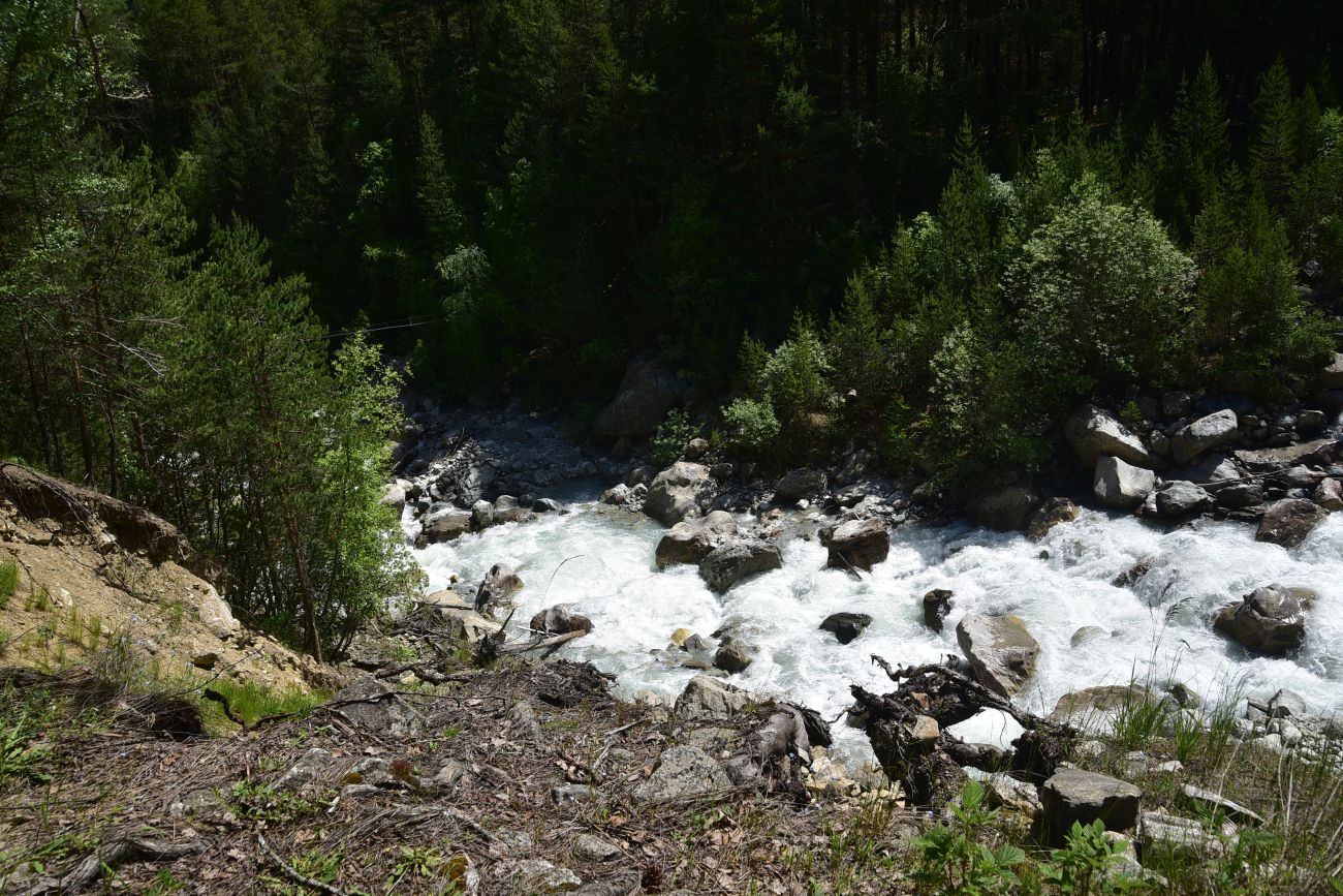 Долина реки Шхельда, image of landscape/habitat.