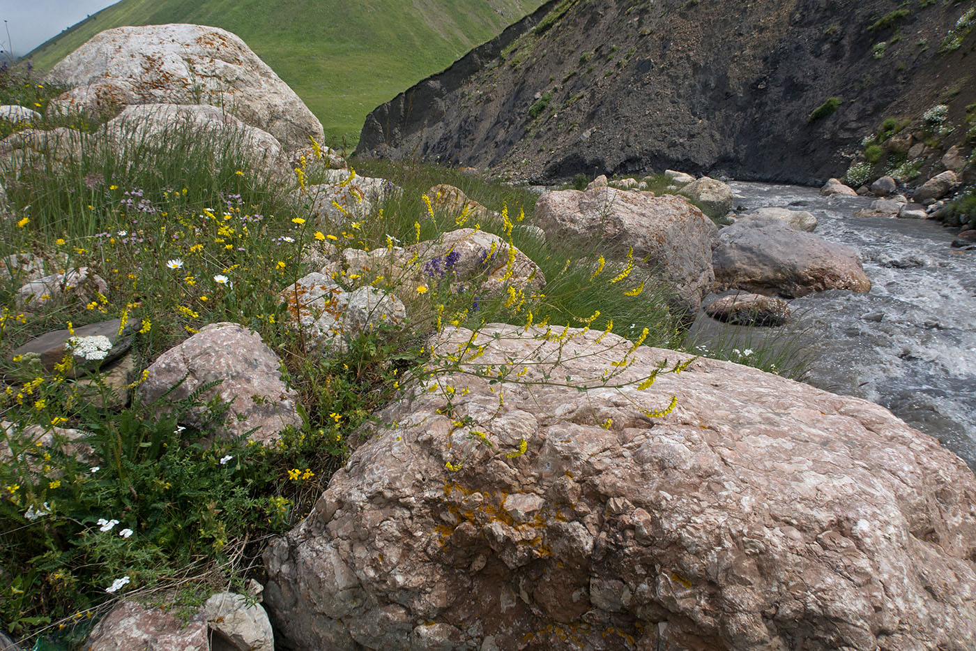 Чехычай, image of landscape/habitat.