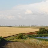 Сухой склон, image of landscape/habitat.