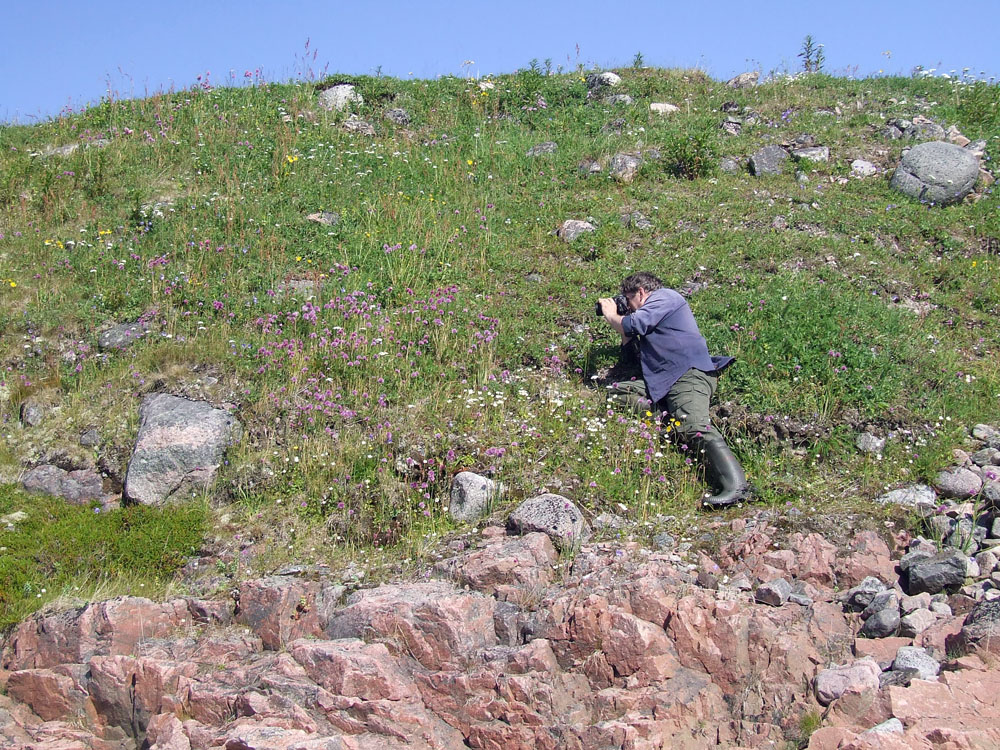 Шельпинская губа, image of landscape/habitat.