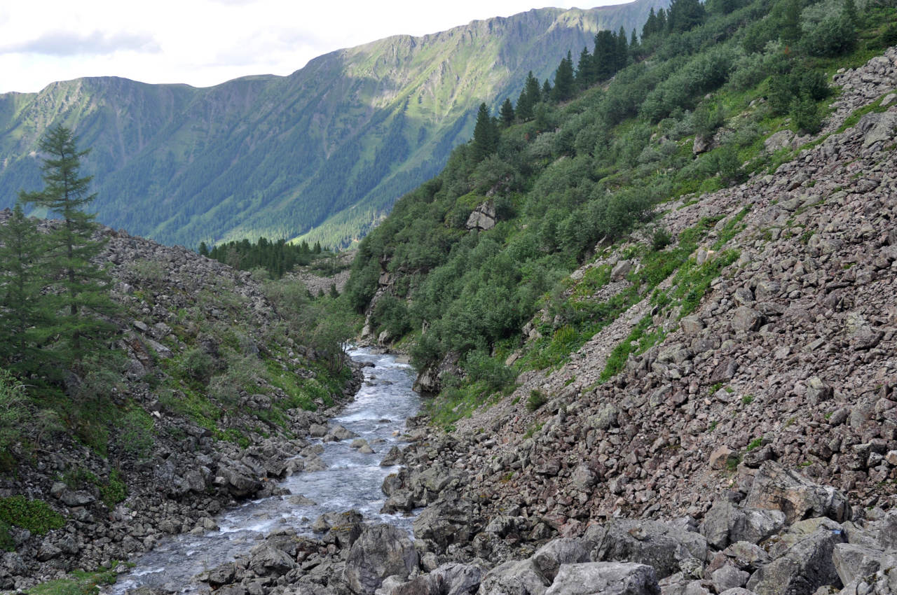 Долина реки Аржаан-Хем, image of landscape/habitat.