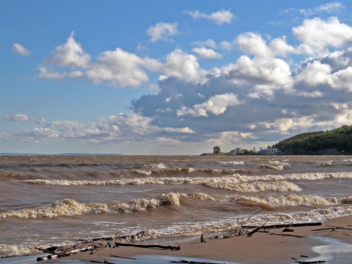 Куйбышевское водохранилище, image of landscape/habitat.