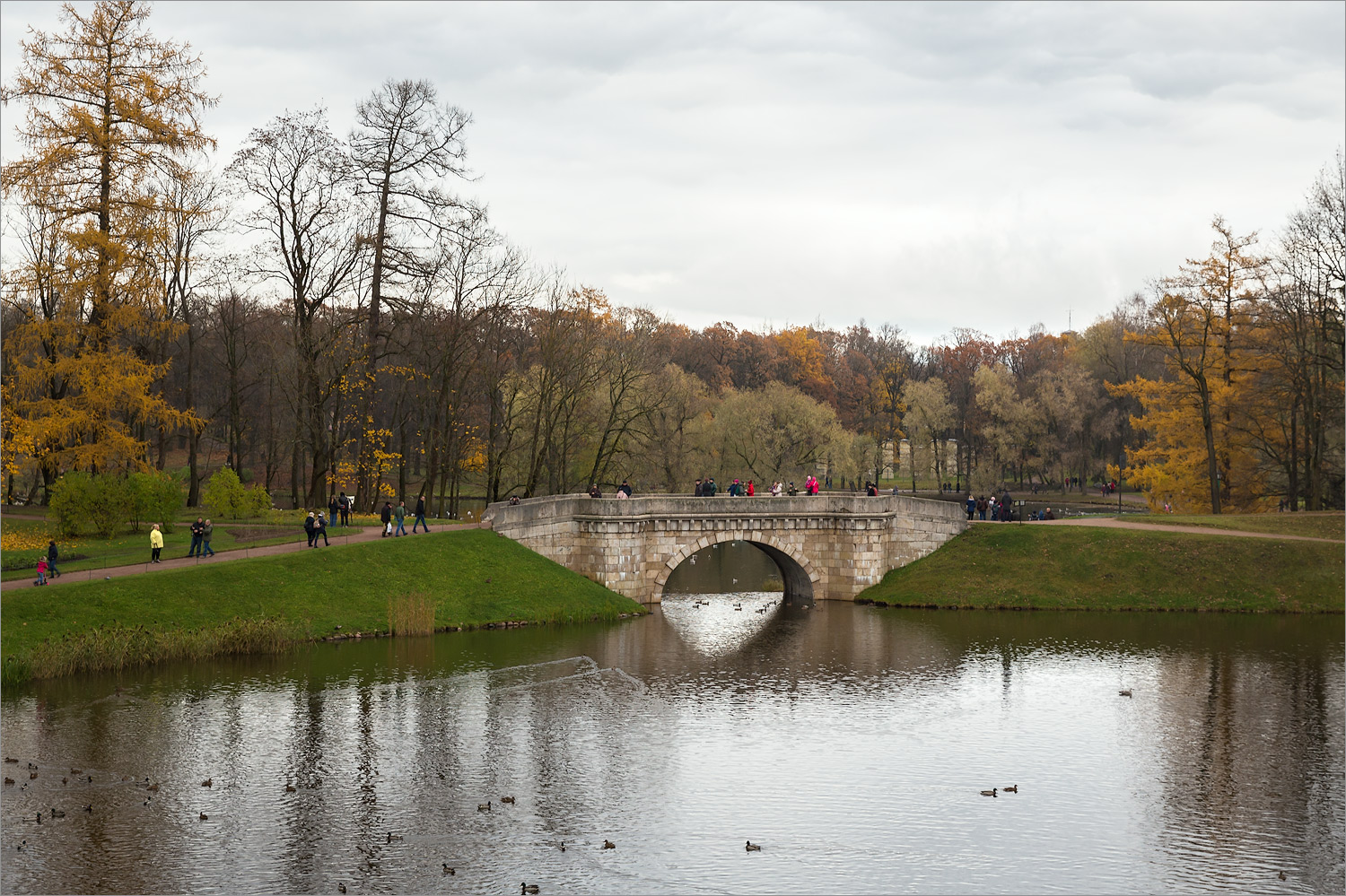 Гатчинские парки, image of landscape/habitat.