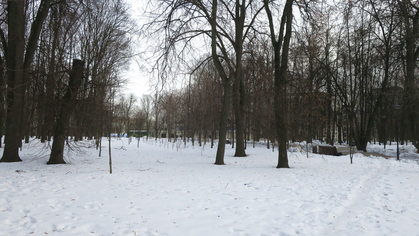 Парк "Динамо", image of landscape/habitat.