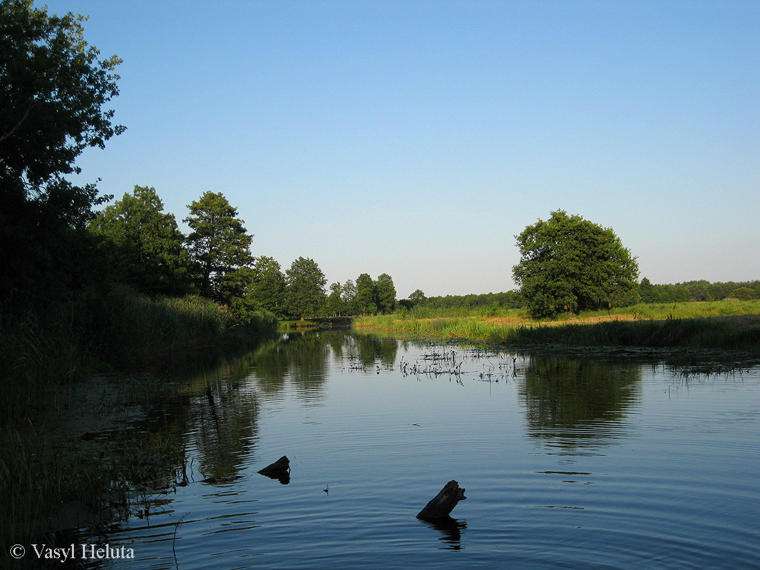 Комарово, песчаная гора, image of landscape/habitat.