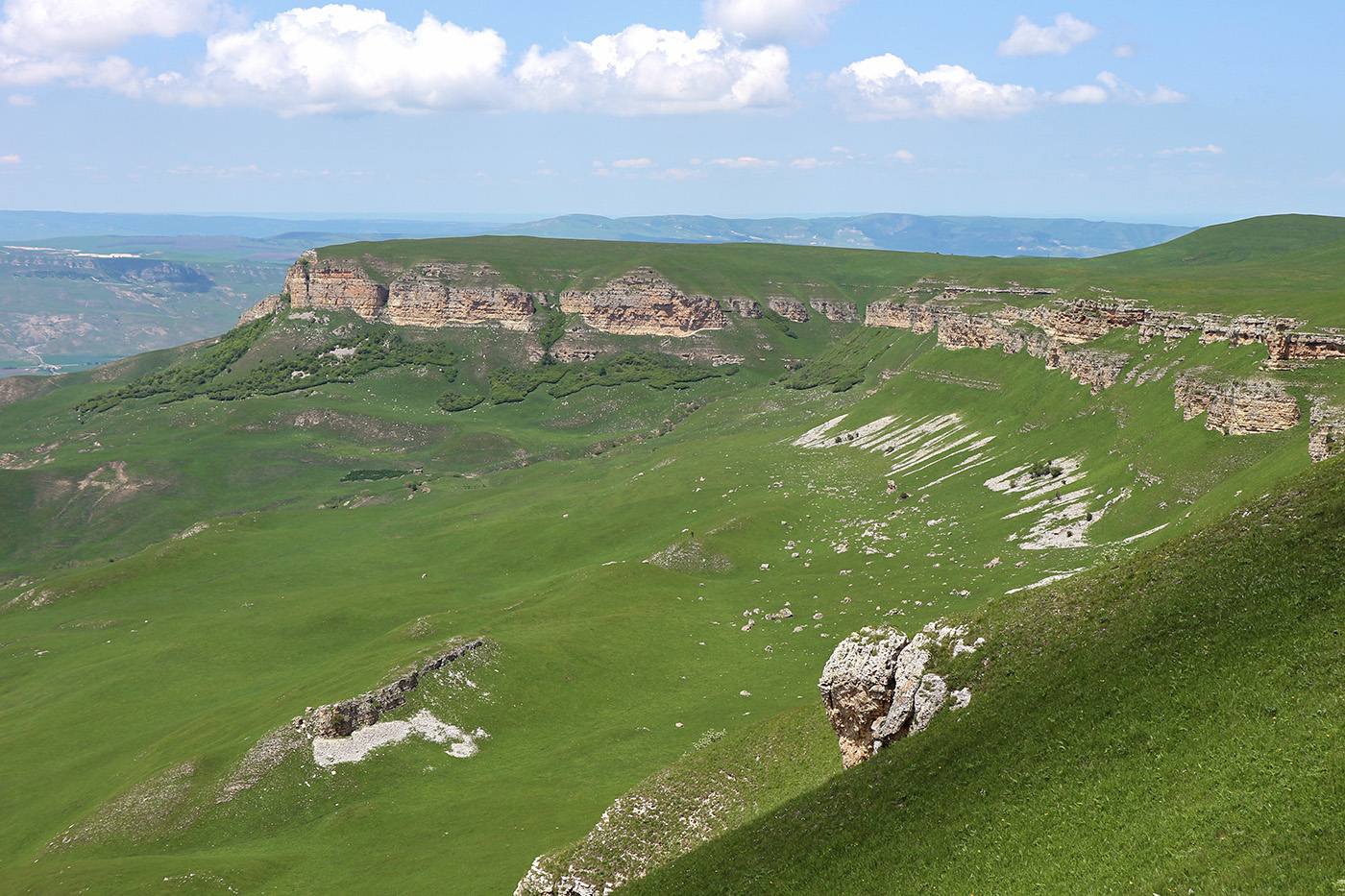 Джангур, image of landscape/habitat.