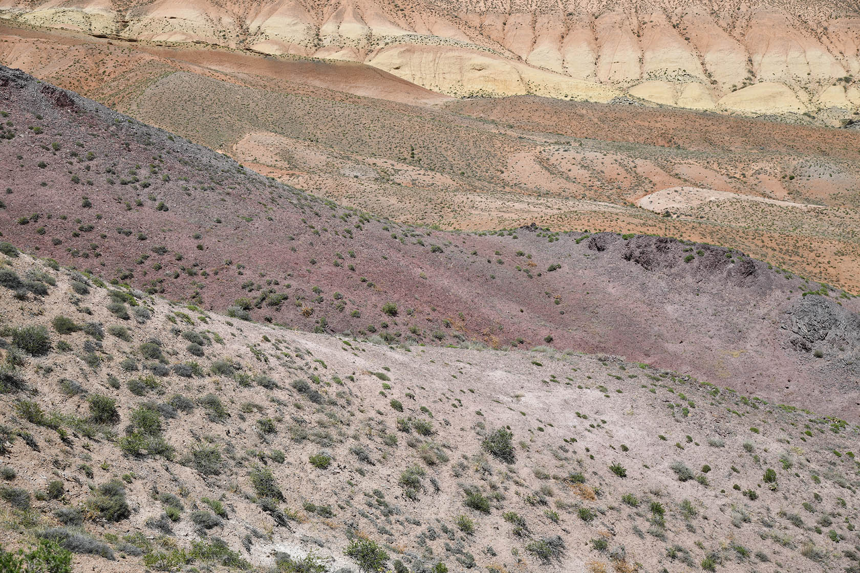 Бала-Богуты, изображение ландшафта.