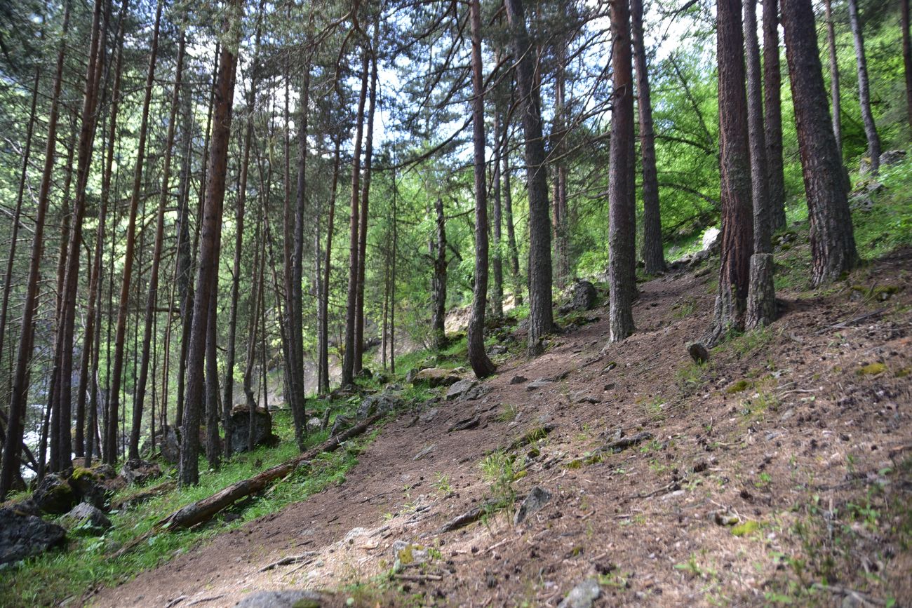 Долина реки Шхельда, image of landscape/habitat.