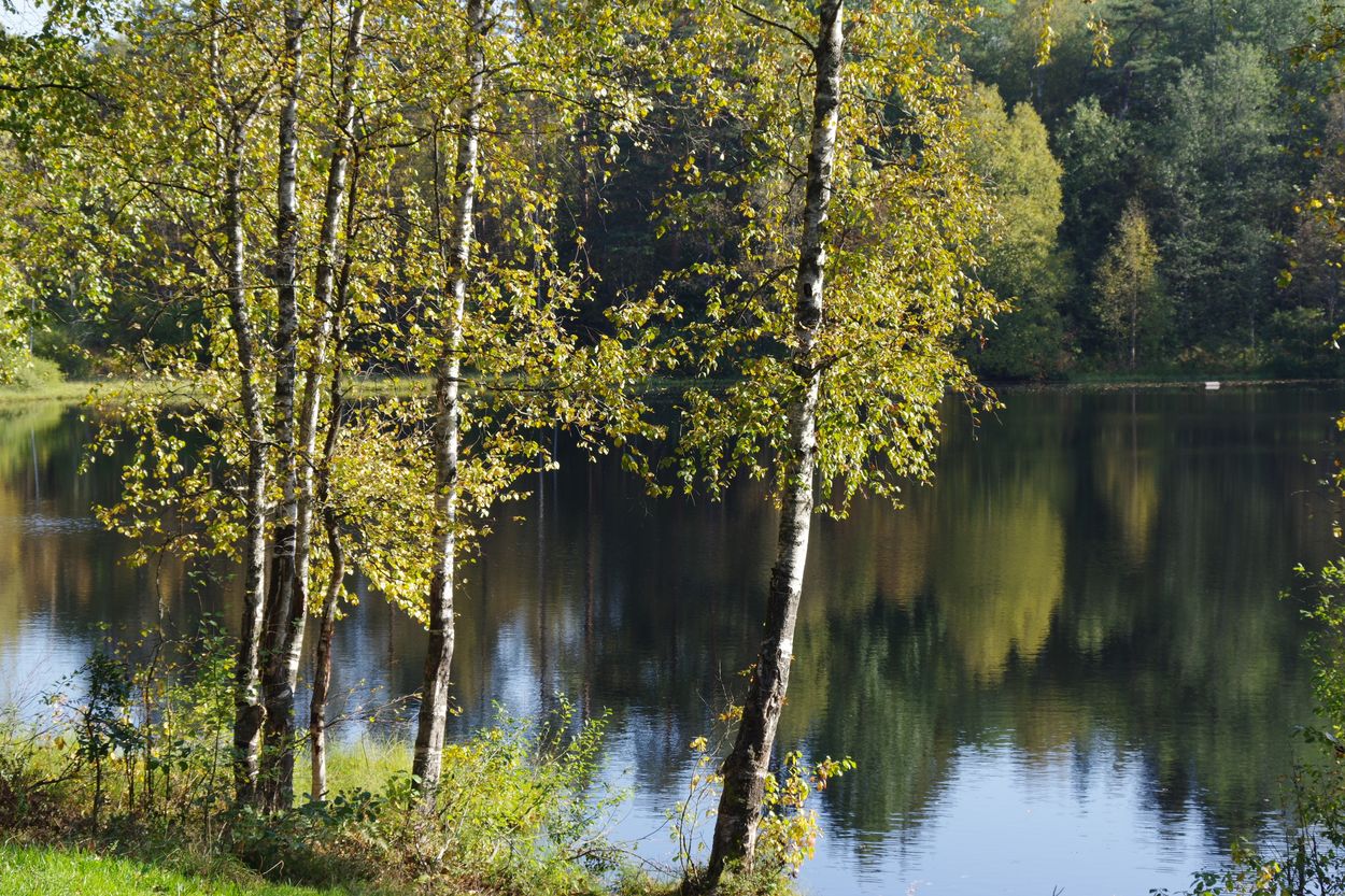 Озеро Змеёвка, image of landscape/habitat.