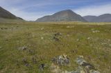 Image of landscape