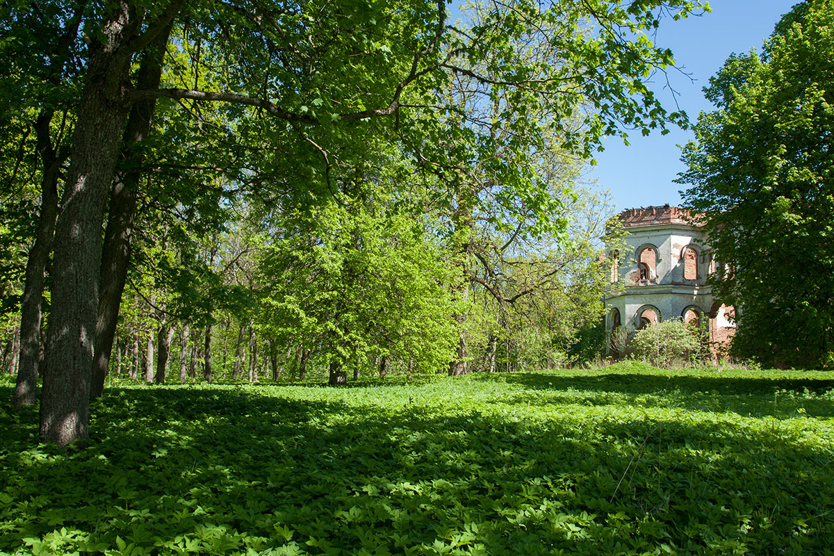 Гостилицы, image of landscape/habitat.