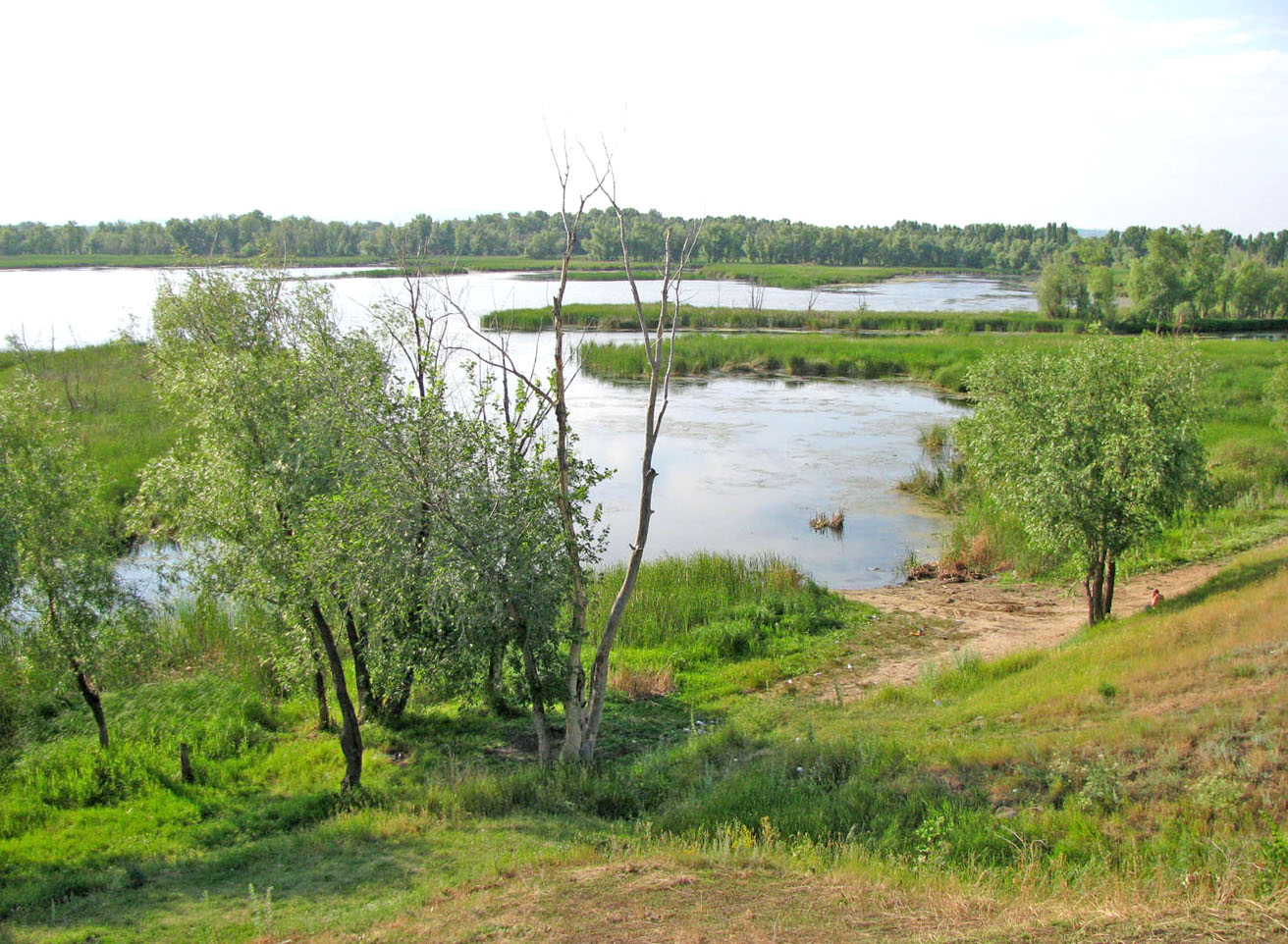 Волгоградское водохранилище, image of landscape/habitat.