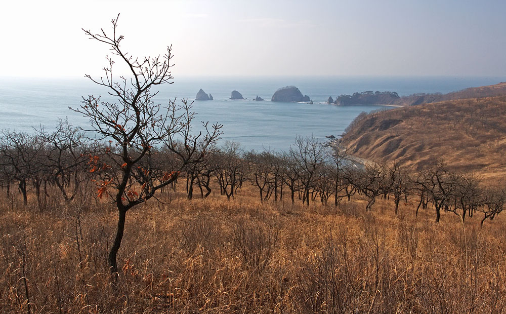 Полуостров Гамова, image of landscape/habitat.
