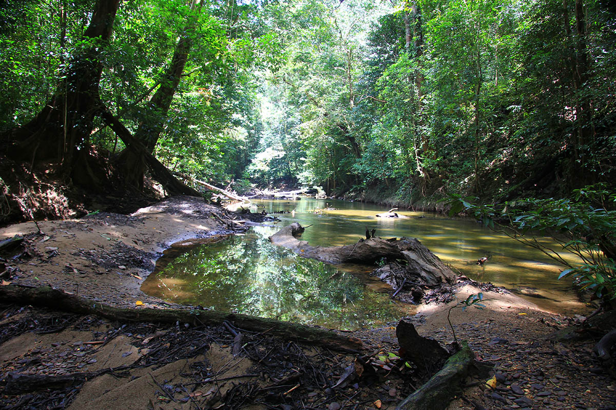 Национальный парк «Мулу», image of landscape/habitat.