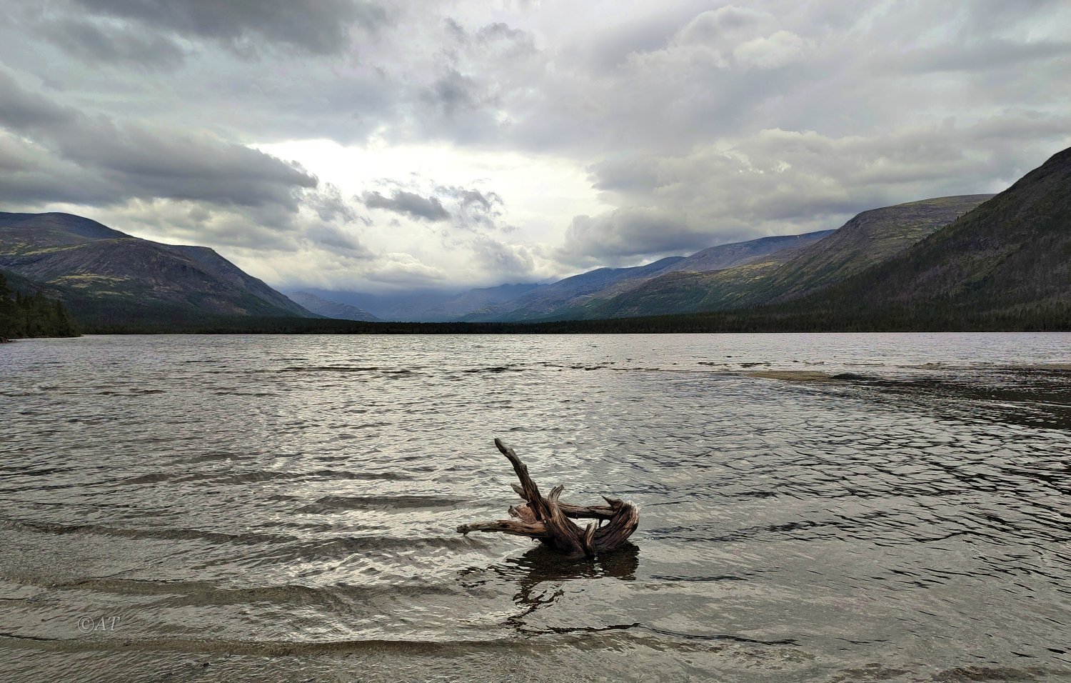 Озеро Гольцовое, image of landscape/habitat.