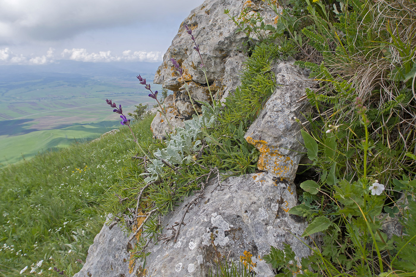Джангур, image of landscape/habitat.