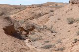 Горы Улькен-Богуты, image of landscape/habitat.