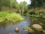 Ильд у Марьино, image of landscape/habitat.