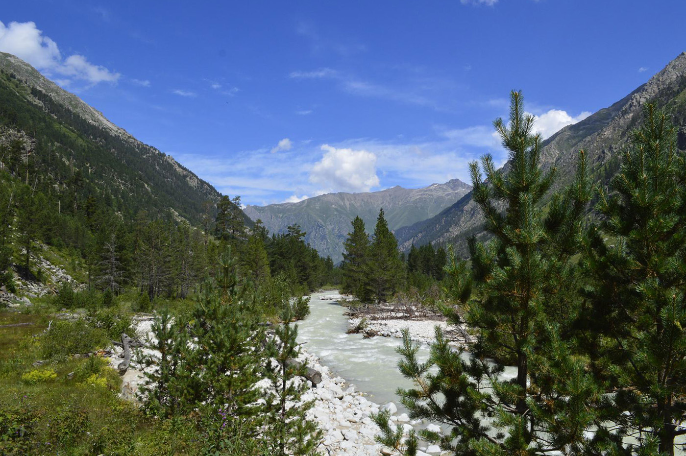 Ущелье Чиринкол, image of landscape/habitat.