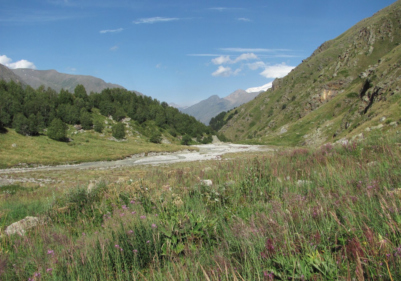 Бассейн реки Адылсу, image of landscape/habitat.