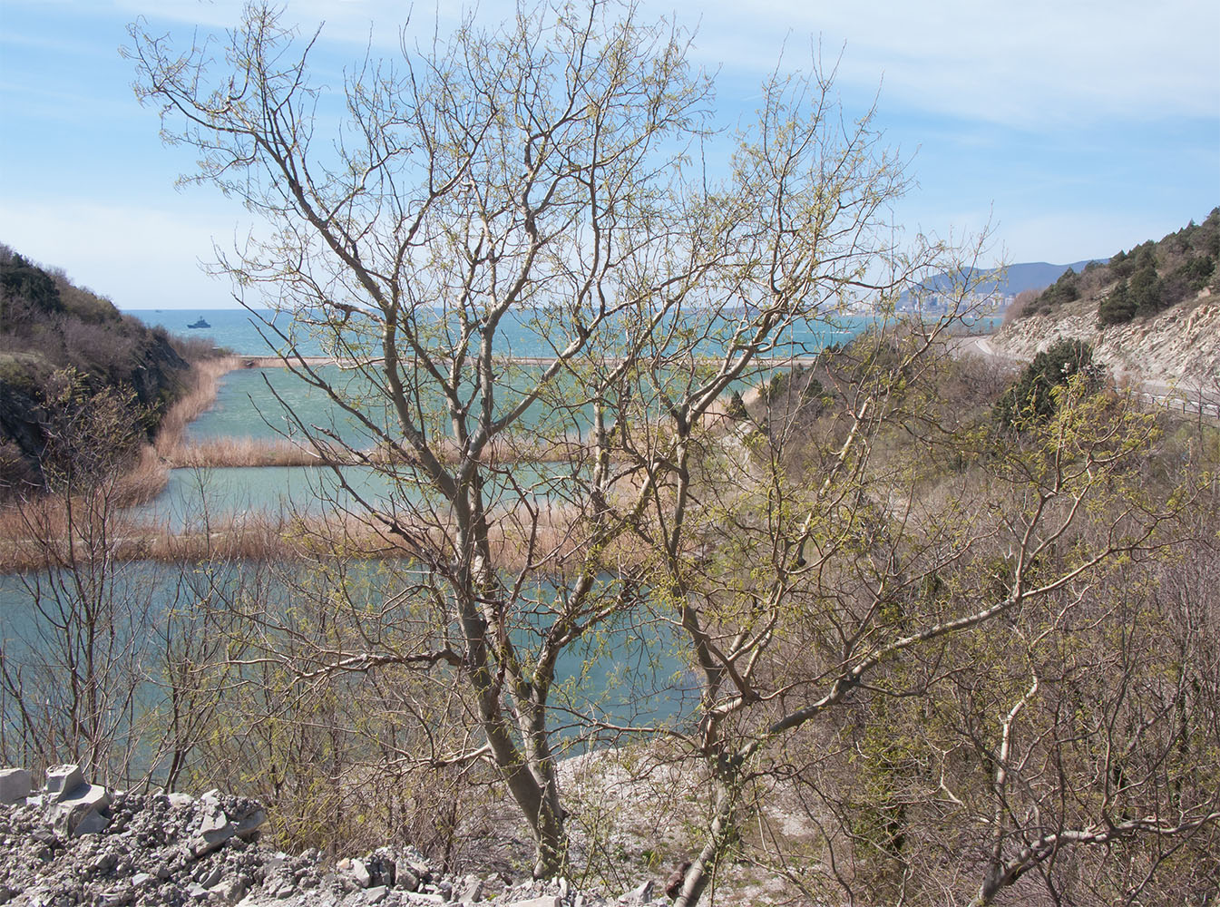 Пруд на Шесхарисе, image of landscape/habitat.