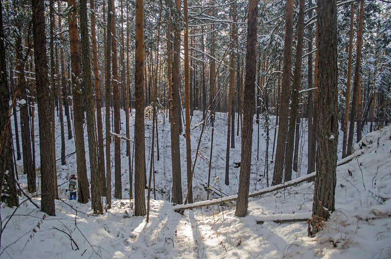 Хребет Суртанды, image of landscape/habitat.