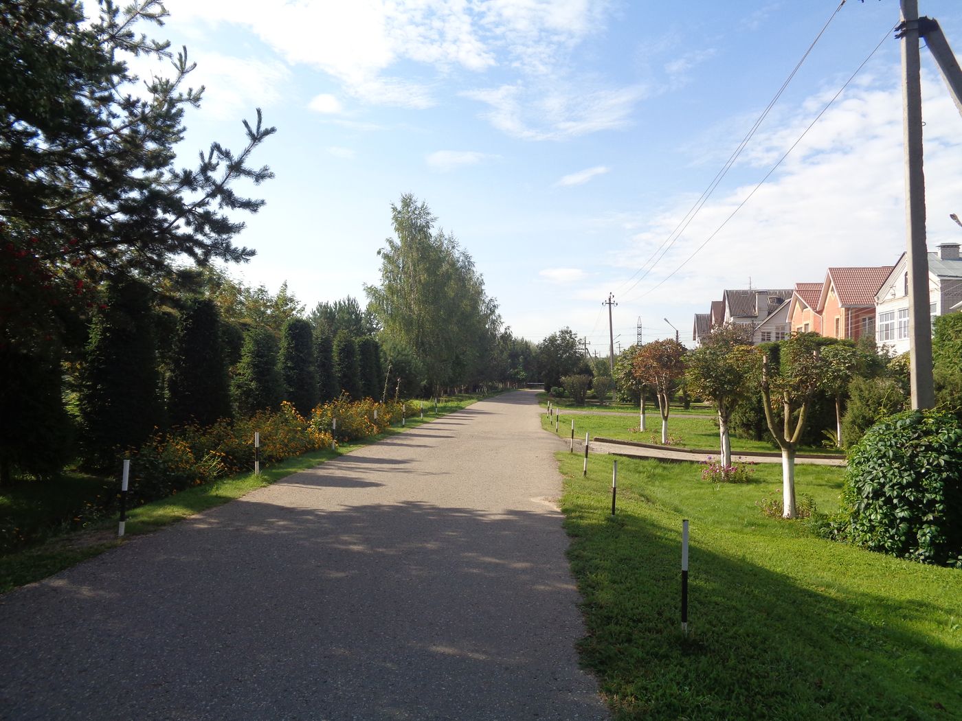 Соминка, image of landscape/habitat.