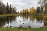 Гатчинские парки, image of landscape/habitat.