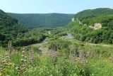 Уруп у хутора Ильич, image of landscape/habitat.