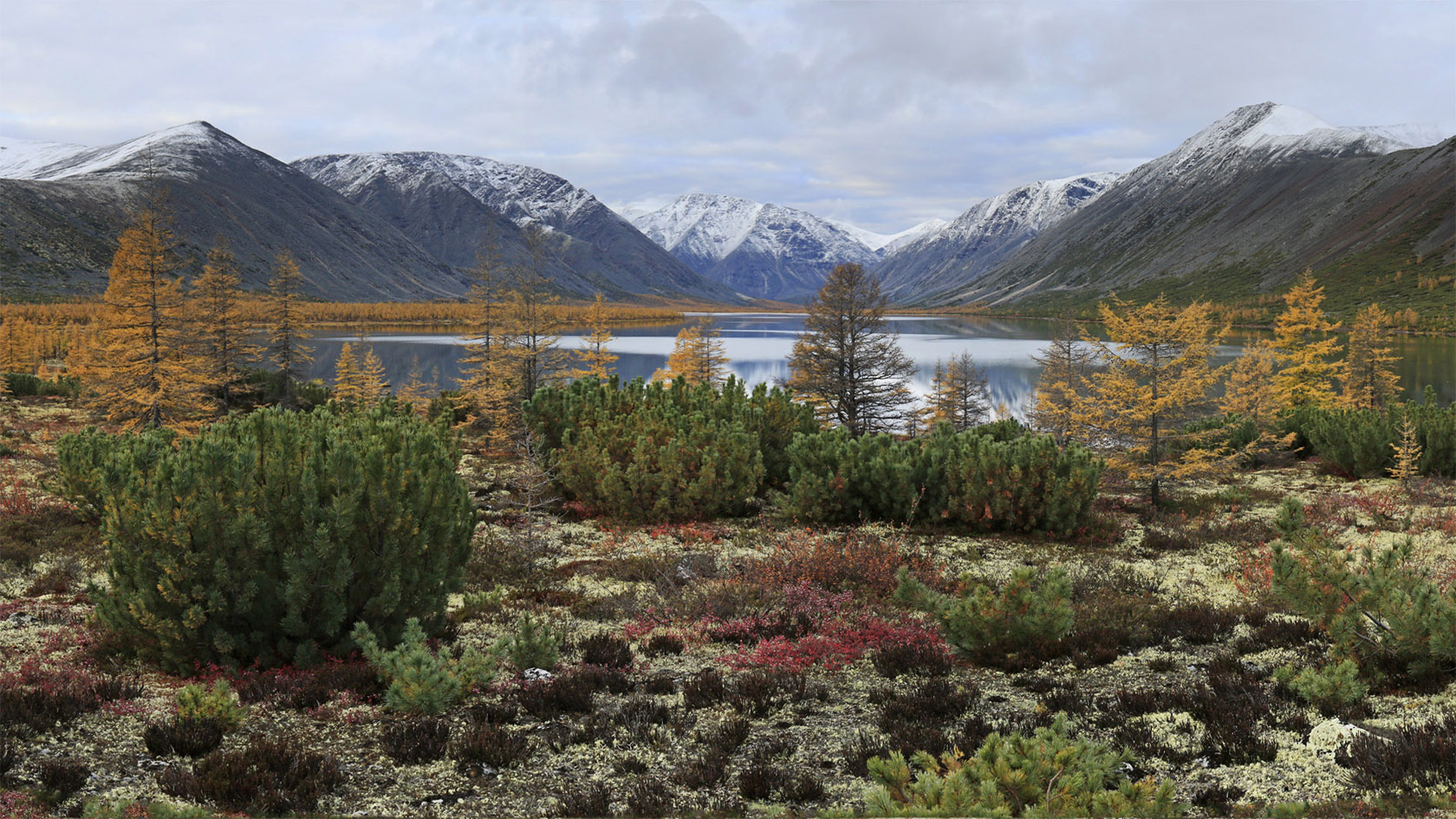 Озеро Юг, image of landscape/habitat.