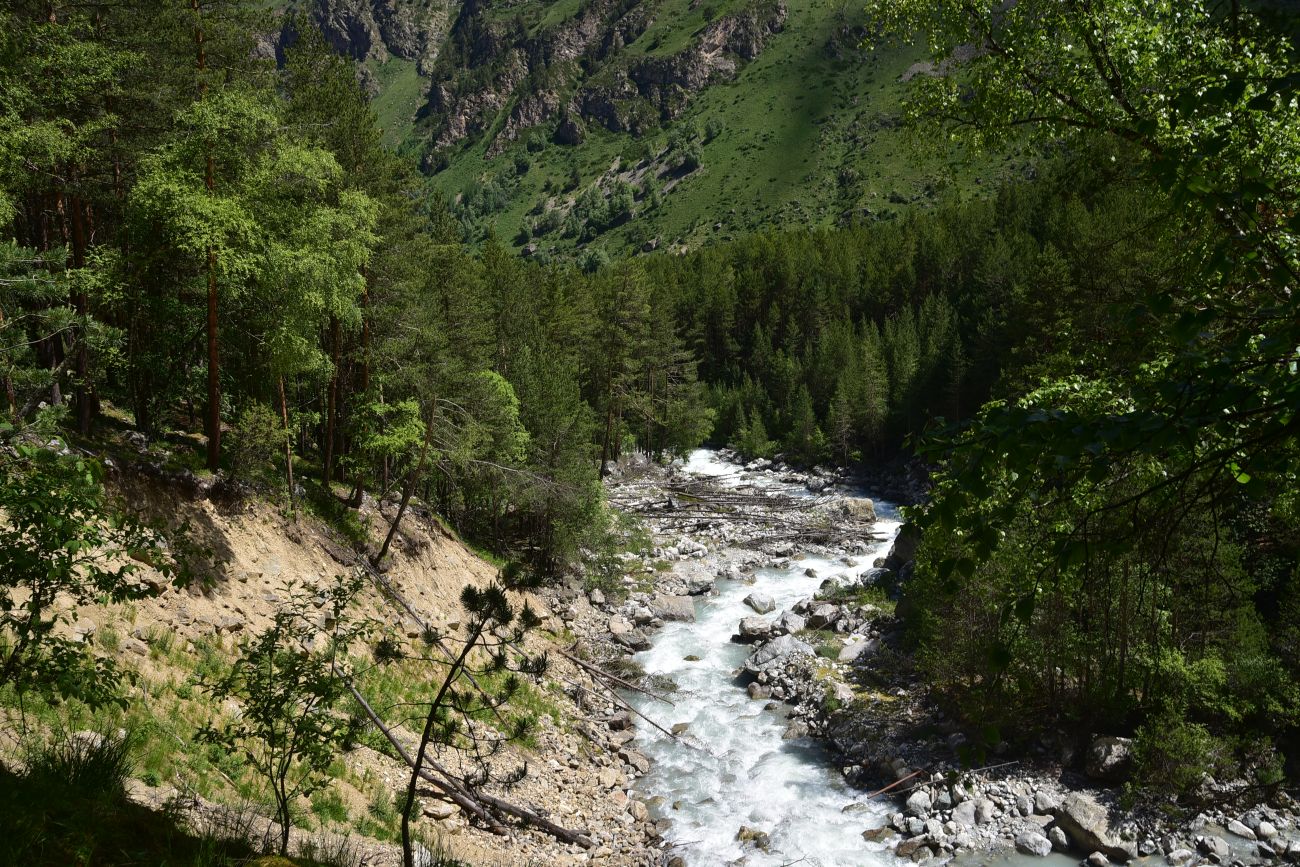 Долина реки Шхельда, image of landscape/habitat.