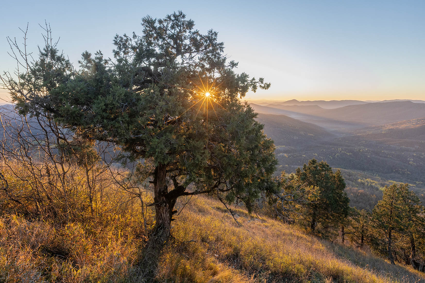Папай, image of landscape/habitat.
