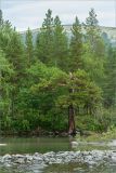 Image of landscape