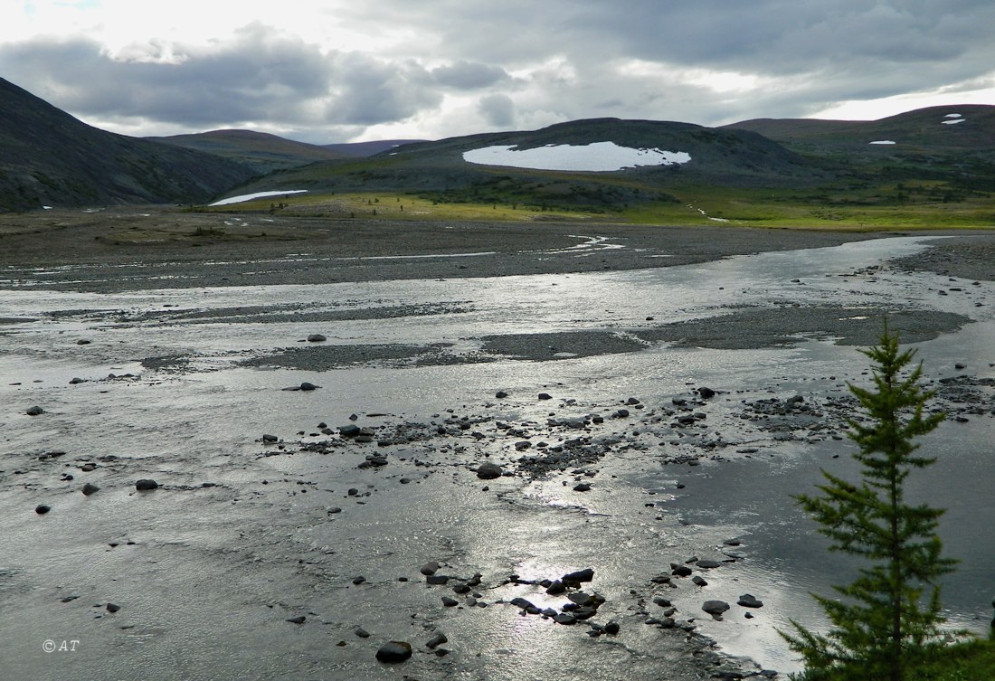 Малая Лагорта, image of landscape/habitat.