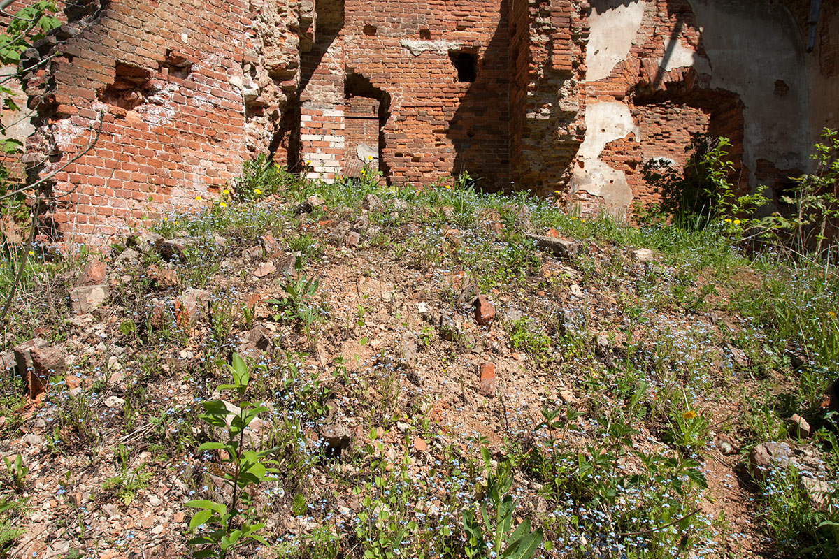 Гостилицы, image of landscape/habitat.