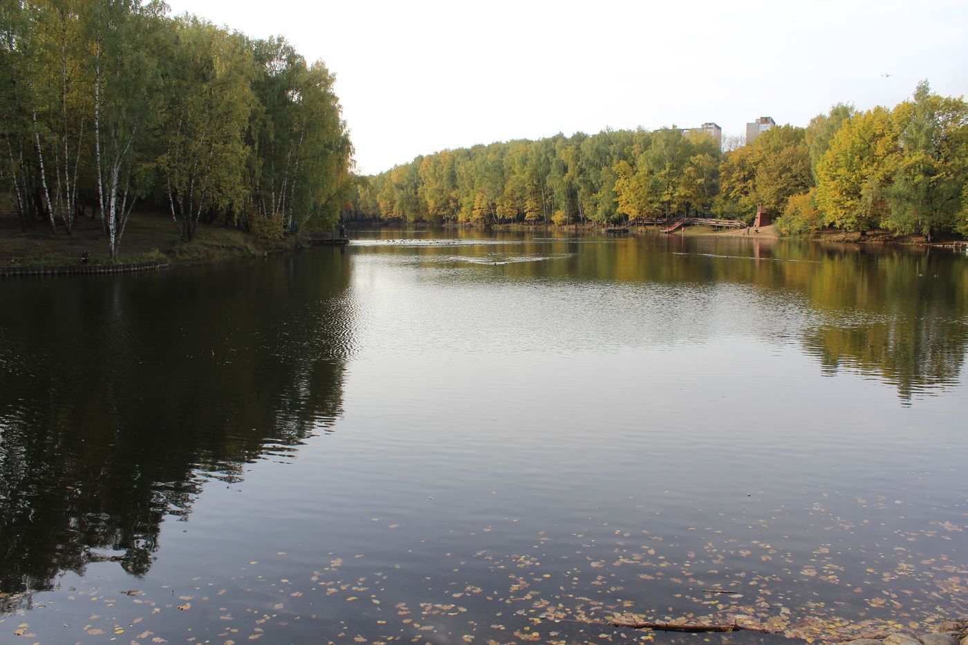 Заказник "Теплый Стан", image of landscape/habitat.