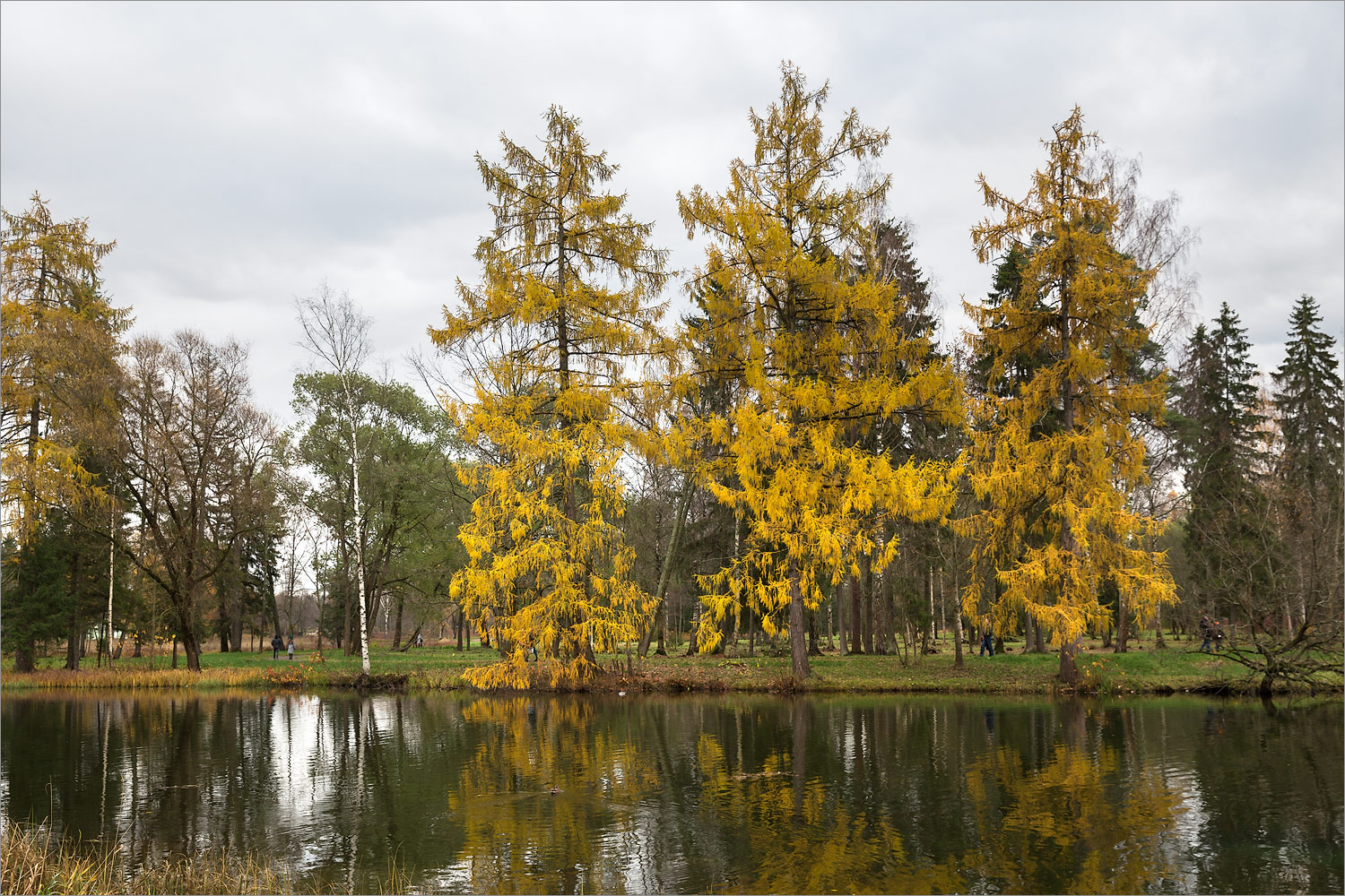 Гатчинские парки, image of landscape/habitat.