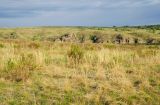 Богдановское, image of landscape/habitat.