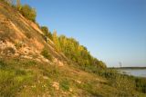 Окулово, image of landscape/habitat.