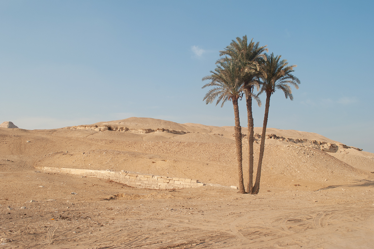 Саккара, image of landscape/habitat.
