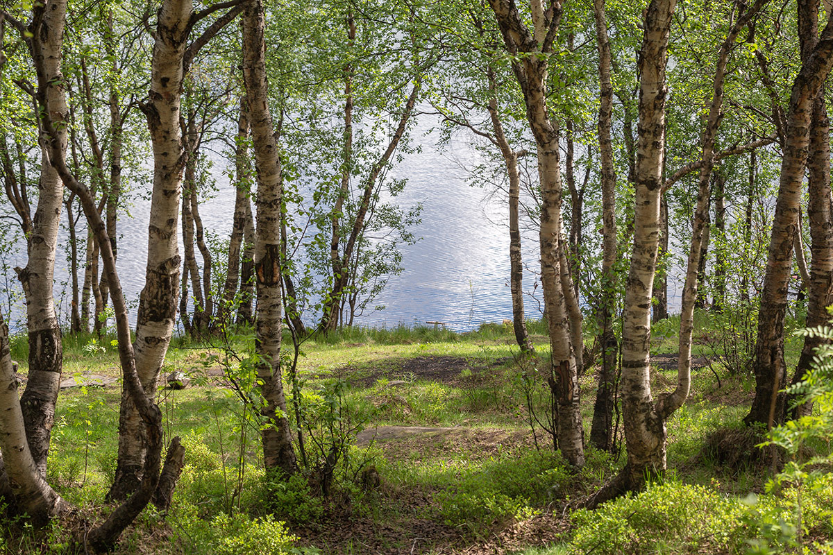 Мурманск, image of landscape/habitat.
