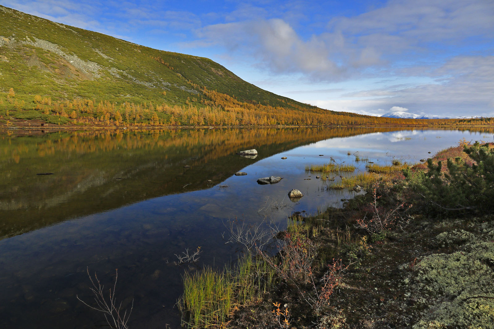 Озеро Юг, image of landscape/habitat.