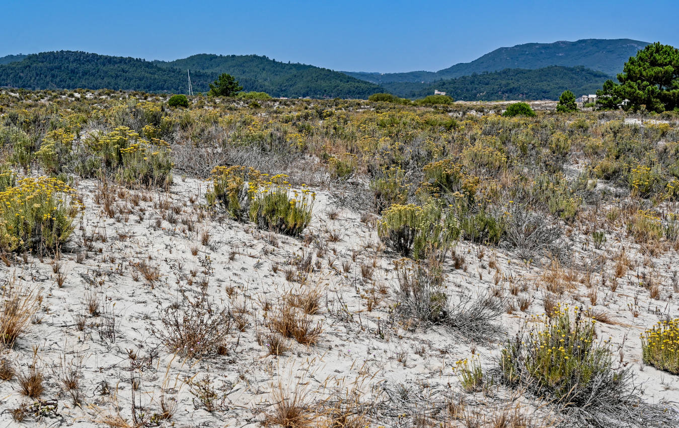 Полуостров Троя, image of landscape/habitat.