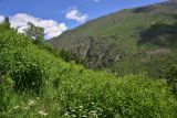 Image of landscape