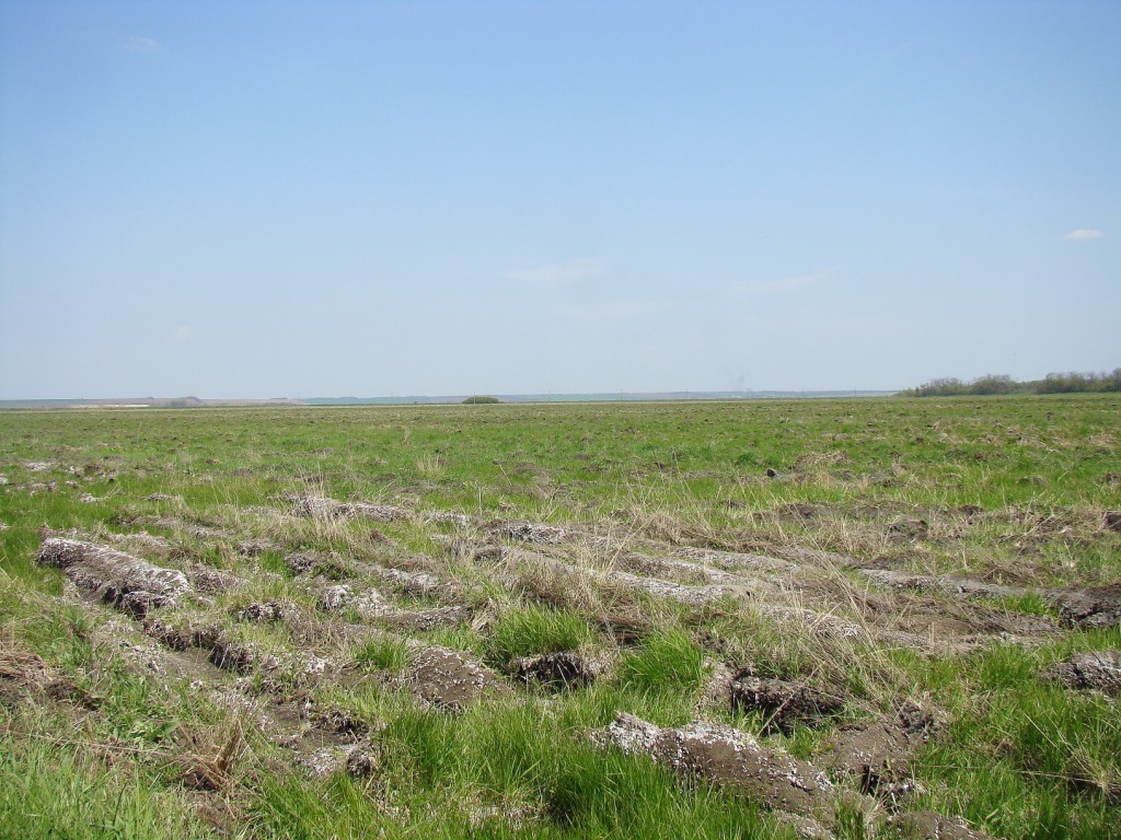 Балка Боброва, image of landscape/habitat.