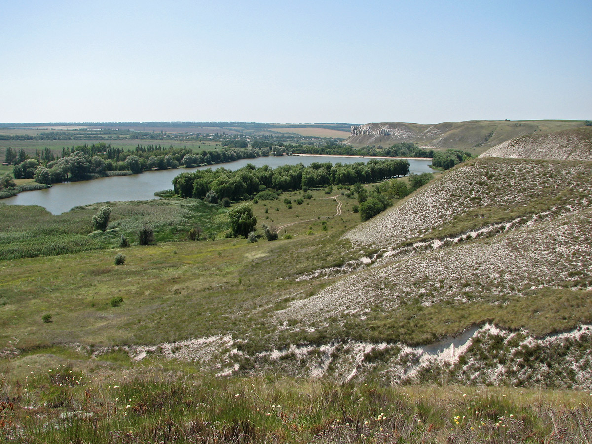 Белокузьминовка, image of landscape/habitat.