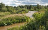 Озеро Зюраткуль, image of landscape/habitat.