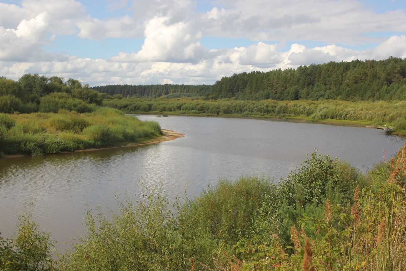 Урочище Верхний Кокиль, image of landscape/habitat.