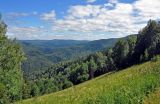 Белокуриха и окрестности, image of landscape/habitat.